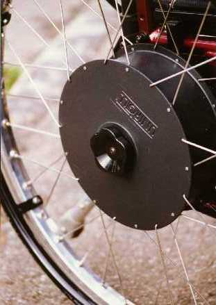 electric wheel-motor