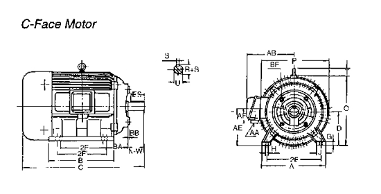 nema-3.gif (28326 bytes)